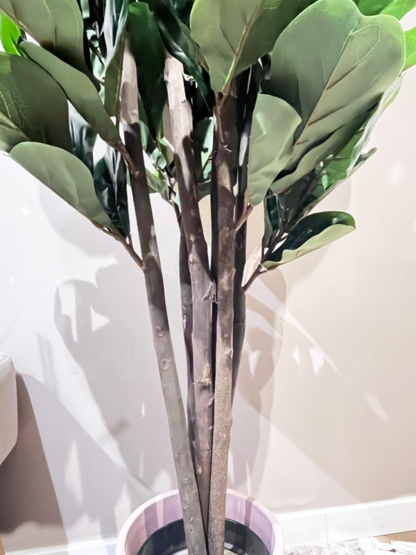 עץ פיקוס מלאכותי | GIARDINO